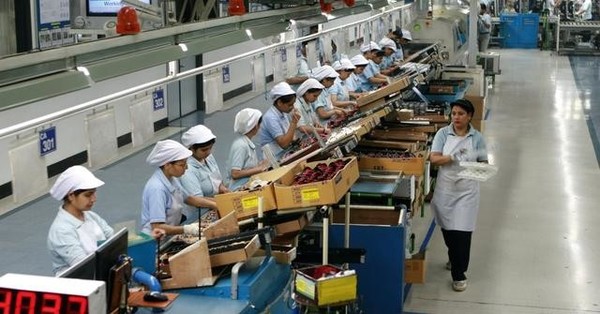 印度苹果代工厂