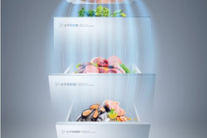 TCL格物冰箱Q10"变温区"成了高端冰箱的标配？