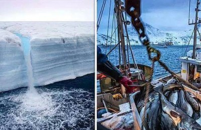 北极紧急情况！新的研究称，融冰释放的汞正在“毒害地球”。